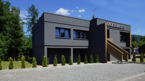 Apartamenty Milenium, Ustroń